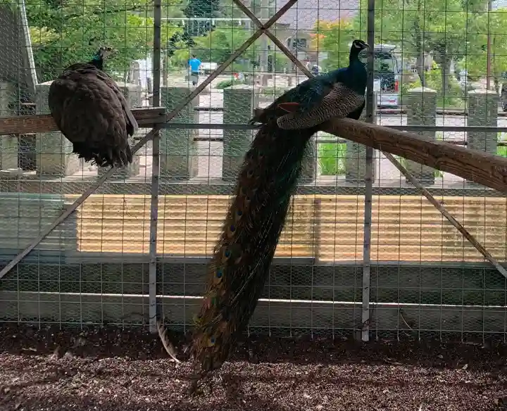 福井県護国神社(福井県)