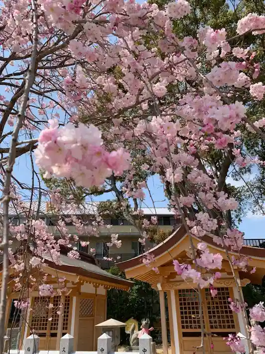 綱敷天満宮の自然