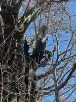 飛木稲荷神社(東京都)