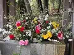 富知六所浅間神社(静岡県)