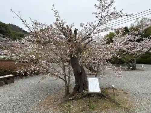 満願寺(兵庫県)
