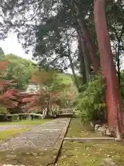 八葉寺の庭園