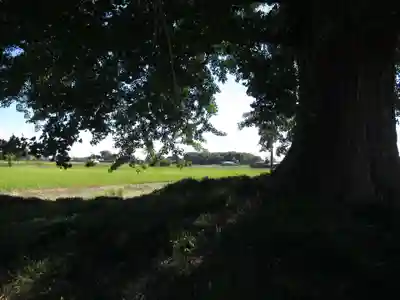 浄雲寺(茨城県)