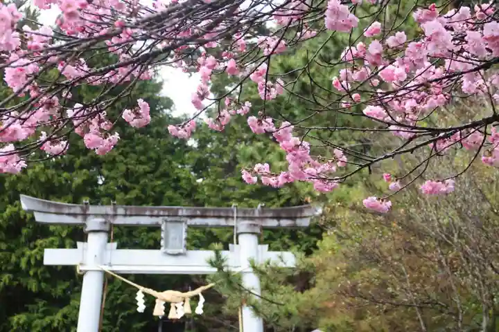 滑川神社 - 仕事と子どもの守り神の鳥居