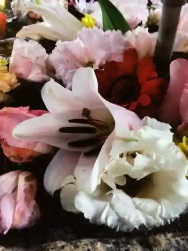 鳩森八幡神社の手水舎