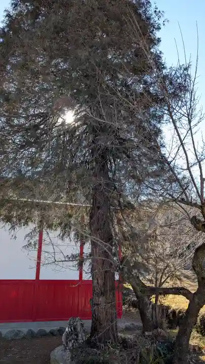 武甲山御嶽神社里宮の自然