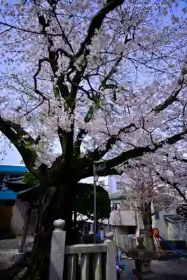 元町厳島神社(神奈川県)