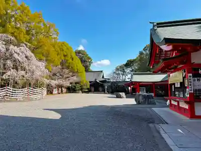 近江神宮(滋賀県)