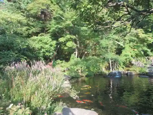 長谷寺(神奈川県)