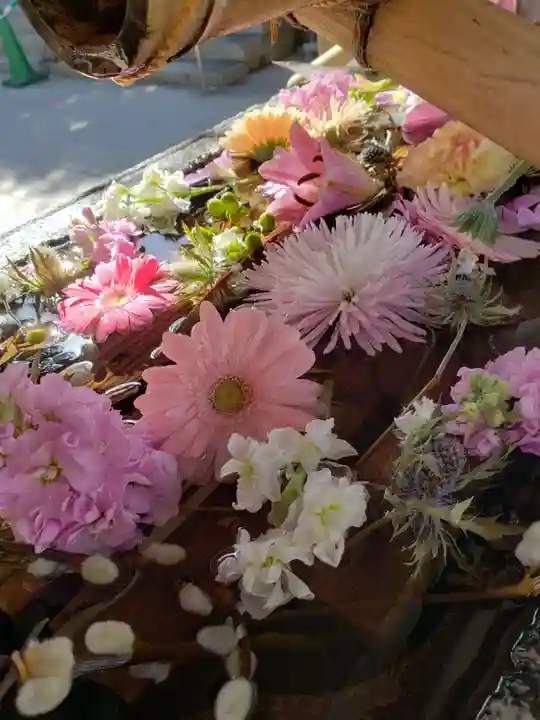 鳩森八幡神社(東京都)