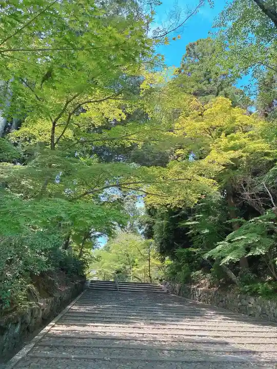 光明寺(粟生光明寺)(京都府)