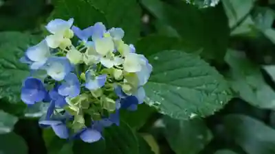 長谷寺(奈良県)