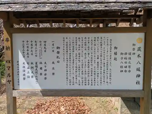 八坂神社(徳島県)