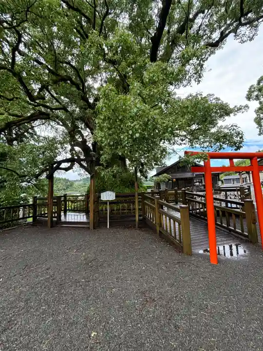 蒲生八幡神社(鹿児島県)