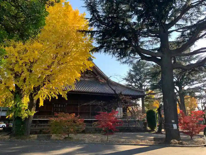 寛永寺(根本中堂)(東京都)
