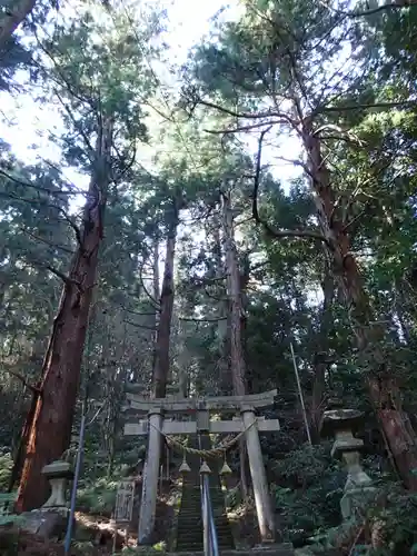 陰陽神社の鳥居