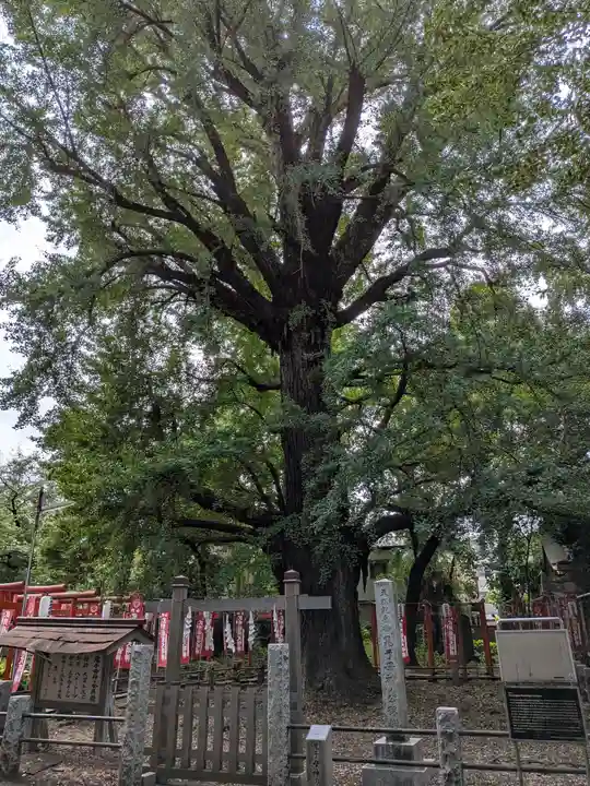 鬼子母神堂 (法明寺)(東京都)