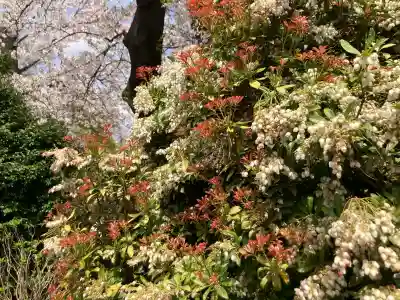 孝道山の{uncategorized: "未分類", other: "その他", undefined: "問題あり", building: "その他建物", grave: "お墓", sacred_gate: "鳥居", guardian: "狛犬", statue: "像", buddha: "仏像", history: "歴史", nature: "自然", garden: "庭園", animal: "動物", pagoda: "塔", temizu: "手水舎", mountain_gate: "山門・神門", sanctuary: "本殿・本堂", subordinate: "末社・摂社", art: "芸術", scenery: "景色", jizo: "地蔵", ema: "絵馬", goshuin: "御朱印", omikuji: "おみくじ", items: "授与品その他", amulet: "お守り", goshuincho: "御朱印帳", eats: "食事", festival: "お祭り", votive_dance: "神楽", shichigosan: "七五三参", wedding: "結婚式", experience: "体験その他", initially: "初詣", around: "周辺", anti_infection: "感染症対策"}