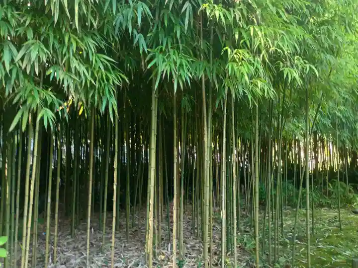 浄智寺(神奈川県)