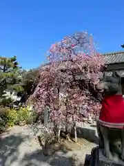 源九郎稲荷神社(奈良県)