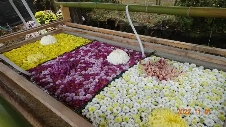 笠間稲荷神社の手水舎