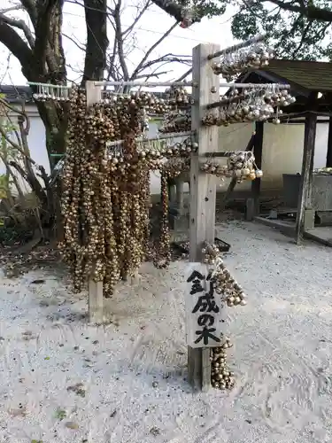 岡山神社の自然