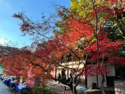 光明寺（粟生光明寺）(京都府)