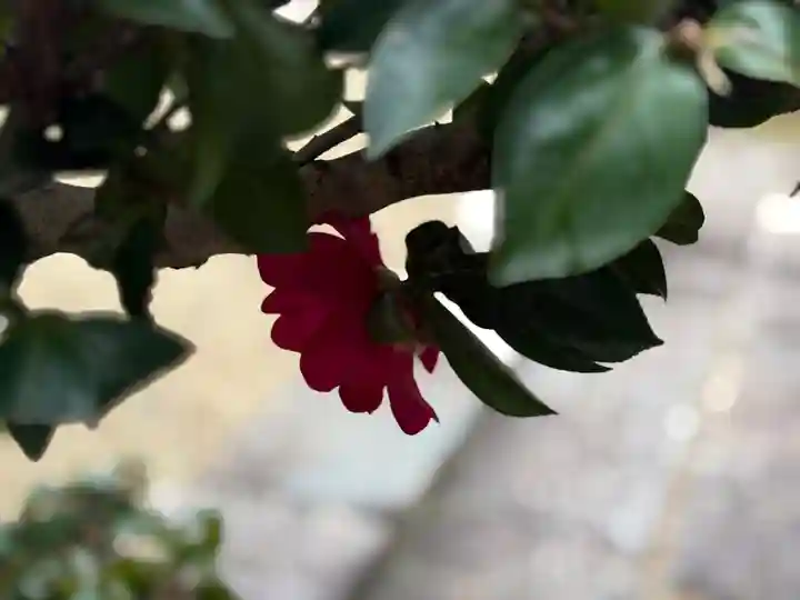 西方山極楽寺(岐阜県)