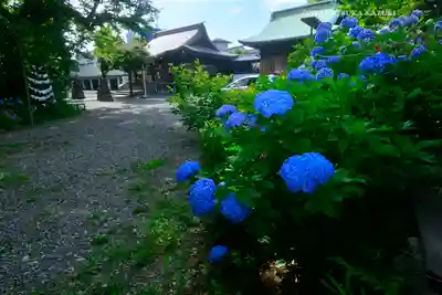 本郷氷川神社(東京都)
