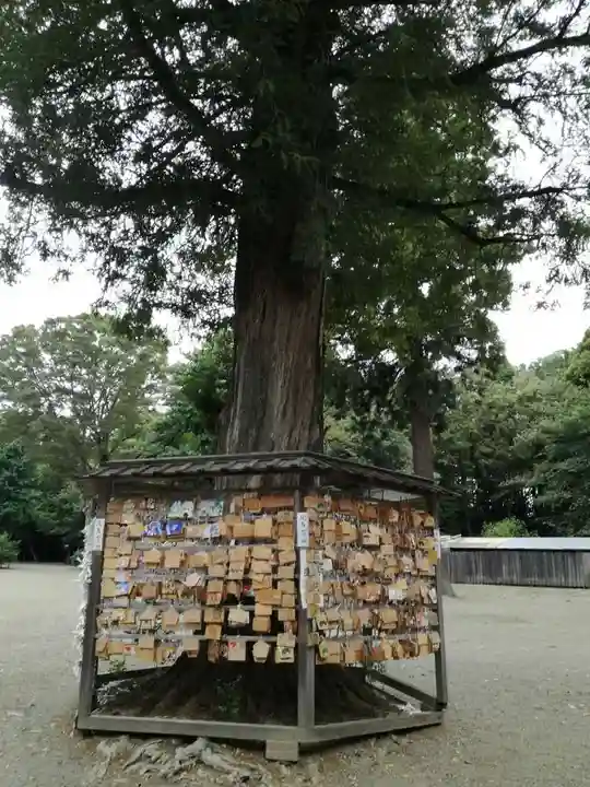 鷲宮神社の絵馬