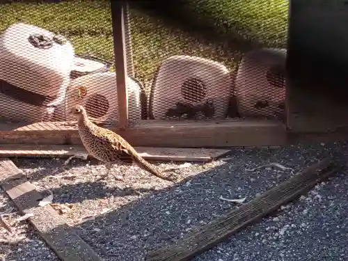 武蔵國八海山神社(埼玉県)