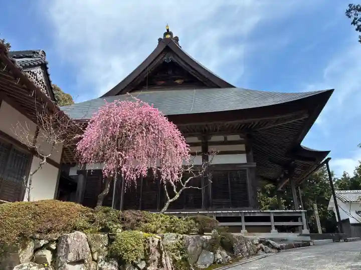 金輪寺の{uncategorized: "未分類", other: "その他", undefined: "問題あり", building: "その他建物", grave: "お墓", sacred_gate: "鳥居", guardian: "狛犬", statue: "像", buddha: "仏像", history: "歴史", nature: "自然", garden: "庭園", animal: "動物", pagoda: "塔", temizu: "手水舎", mountain_gate: "山門・神門", sanctuary: "本殿・本堂", subordinate: "末社・摂社", art: "芸術", scenery: "景色", jizo: "地蔵", ema: "絵馬", goshuin: "御朱印", omikuji: "おみくじ", items: "授与品その他", amulet: "お守り", goshuincho: "御朱印帳", eats: "食事", festival: "お祭り", votive_dance: "神楽", shichigosan: "七五三参", wedding: "結婚式", experience: "体験その他", initially: "初詣", around: "周辺", anti_infection: "感染症対策"}