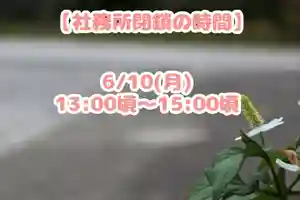 くまくま神社(導きの社 熊野町熊野神社)(東京都) 2024年06月10日(月)〜(2024年06月09日(日) 19時05分48秒投稿)