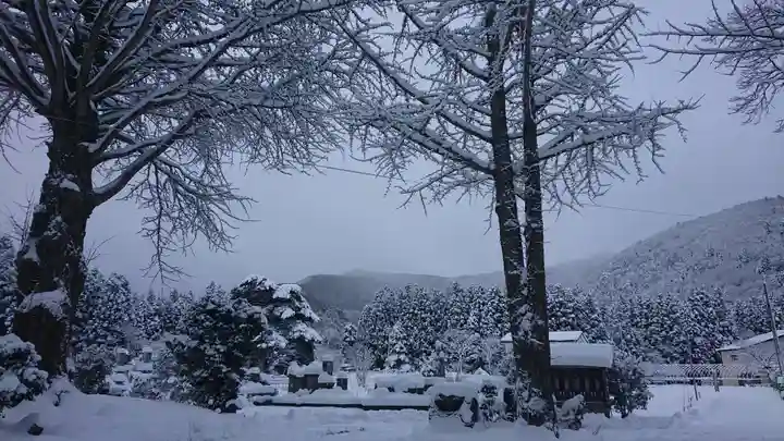 壽徳寺 じゅとくじの自然