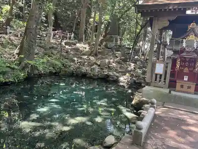 泉神社(茨城県)