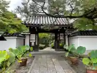 退蔵院(京都府)