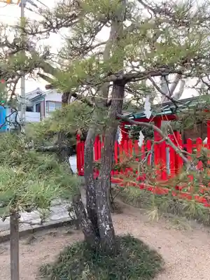 伊弉冊神社の自然