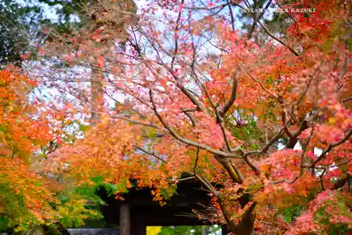 円覚寺(神奈川県)