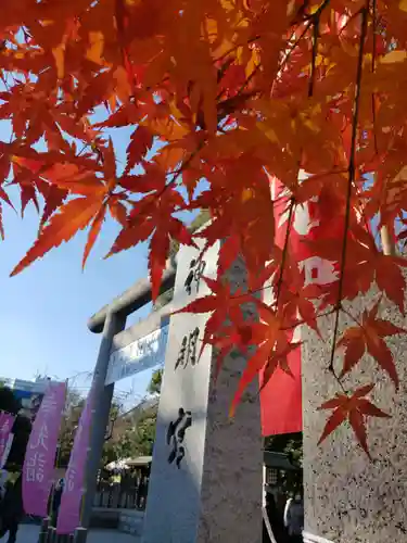 阿佐ヶ谷神明宮(東京都)