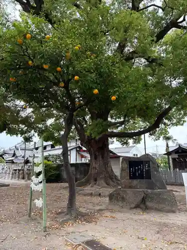 深江稲荷神社(大阪府)