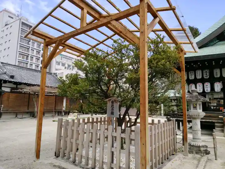 白峯神宮の{uncategorized: "未分類", other: "その他", undefined: "問題あり", building: "その他建物", grave: "お墓", sacred_gate: "鳥居", guardian: "狛犬", statue: "像", buddha: "仏像", history: "歴史", nature: "自然", garden: "庭園", animal: "動物", pagoda: "塔", temizu: "手水舎", mountain_gate: "山門・神門", sanctuary: "本殿・本堂", subordinate: "末社・摂社", art: "芸術", scenery: "景色", jizo: "地蔵", ema: "絵馬", goshuin: "御朱印", omikuji: "おみくじ", items: "授与品その他", amulet: "お守り", goshuincho: "御朱印帳", eats: "食事", festival: "お祭り", votive_dance: "神楽", shichigosan: "七五三参", wedding: "結婚式", experience: "体験その他", initially: "初詣", around: "周辺", anti_infection: "感染症対策"}