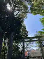 阿豆佐味天神社 立川水天宮(東京都)