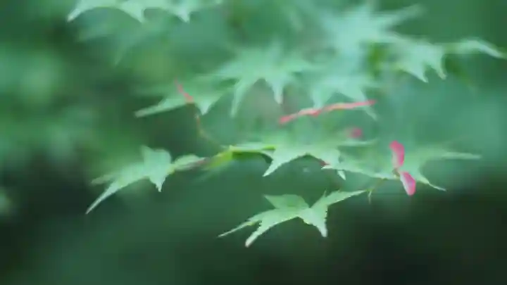 青蓮院門跡(京都府)