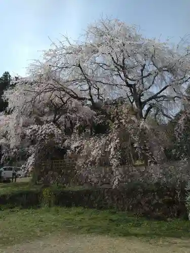 石内のお大師さん　金剛院(広島県)