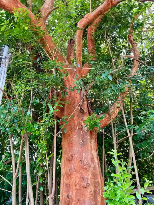 海蔵寺(神奈川県)