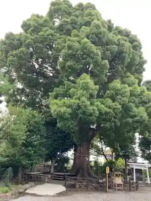 日々神社(神奈川県)