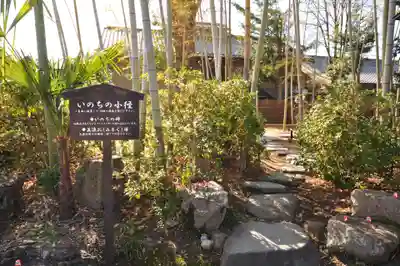 大安寺(奈良県)