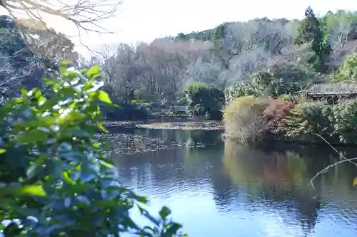 龍安寺(京都府)