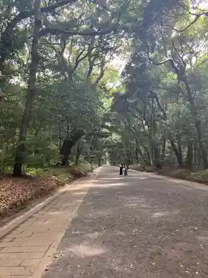 明治神宮(東京都)