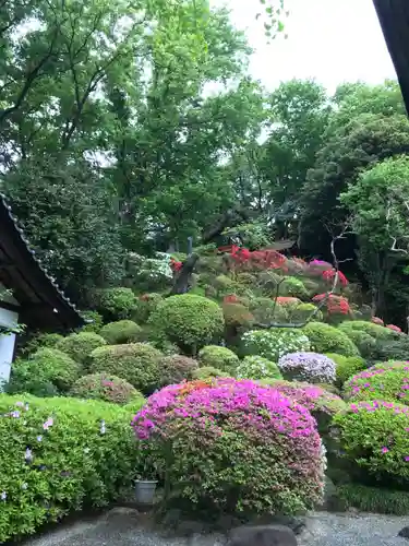 等覚院の庭園